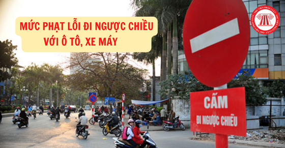 Người điều khiển xe ô tô bị phạt bao nhiêu khi đi ngược chiều
