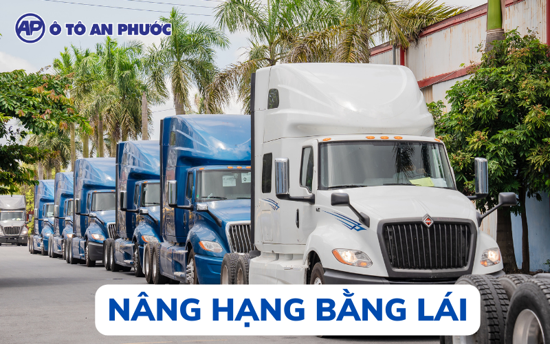 Hình ảnh minh họa các hạng bằng lái xe ô tô và quá trình nâng hạng