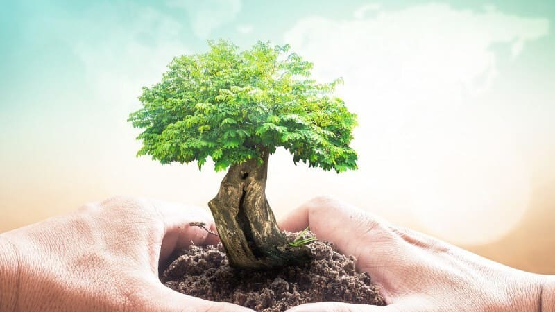 Lợi ích bảo vệ môi trường khi sử dụng xe ô tô điện