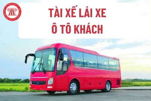Tài xế xe ô tô khách 50 chỗ đang lái xe minh họa khám sức khỏe định kỳ