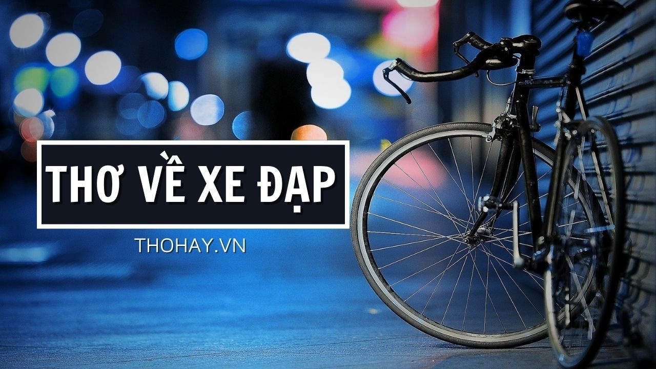So sánh xe đạp và ô tô, mỗi loại đều cần thợ sửa chữa riêng
