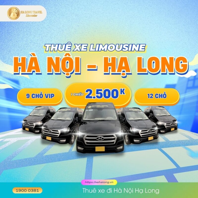 Thuê xe ô tô đi Hạ Long: Kinh nghiệm chọn xe và dịch vụ
