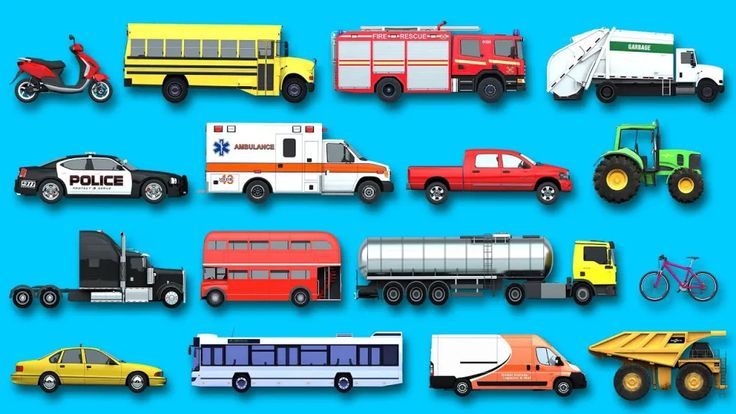 Xác Định Nhóm Xe Ô Tô Buýt: Phân Loại Và Tiêu Chuẩn Chi Tiết