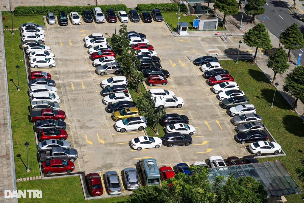 Đấu giá xe ô tô Camry: Cẩm nang chi tiết từ A đến Z