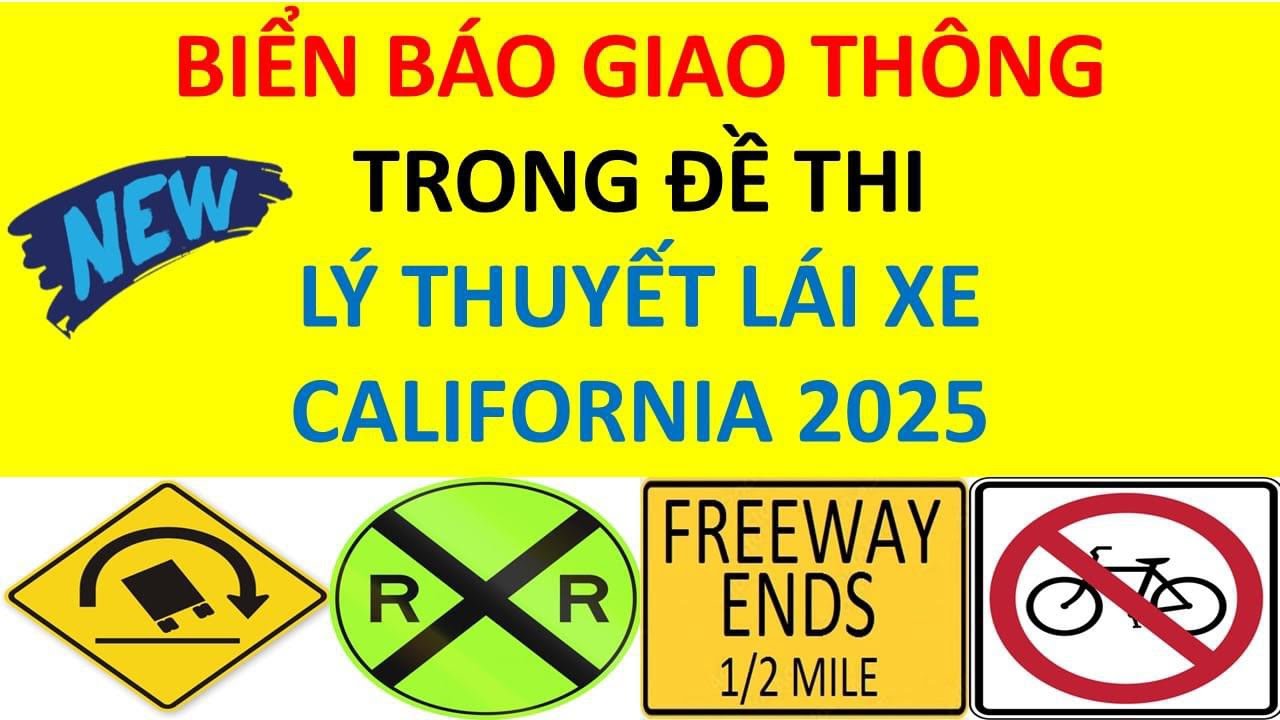 Bộ đề thi lý thuyết bằng lái xe ô tô: Cẩm nang chinh phục kỳ thi