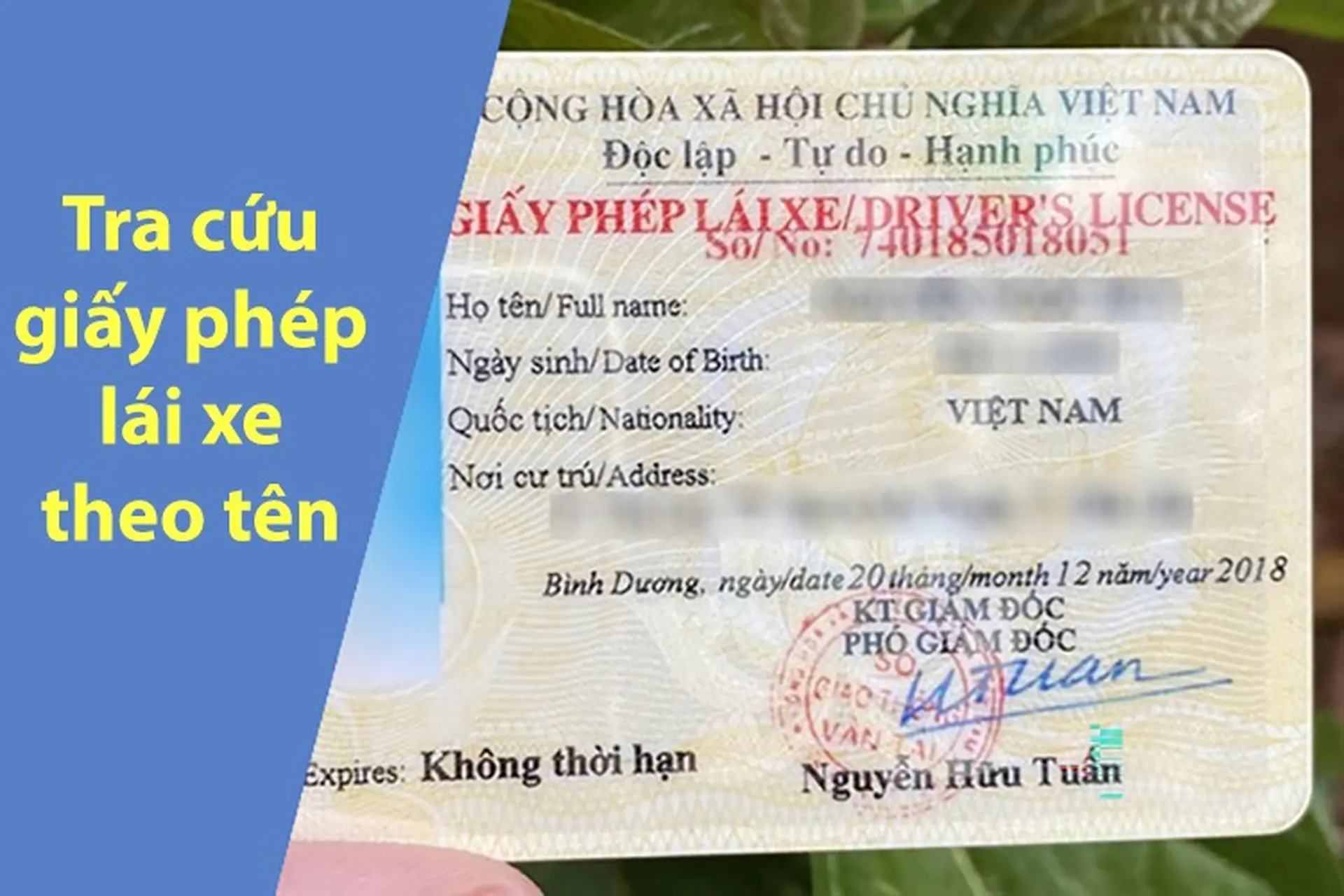 Xem Bằng Lái Xe Ô Tô: Hướng Dẫn Tra Cứu và Sử Dụng Hiệu Quả