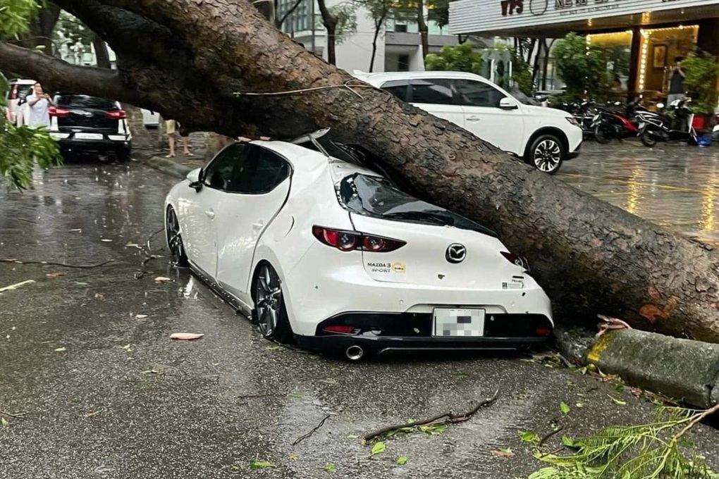 Hướng dẫn bảo vệ xe ô tô trường học khi mưa bão