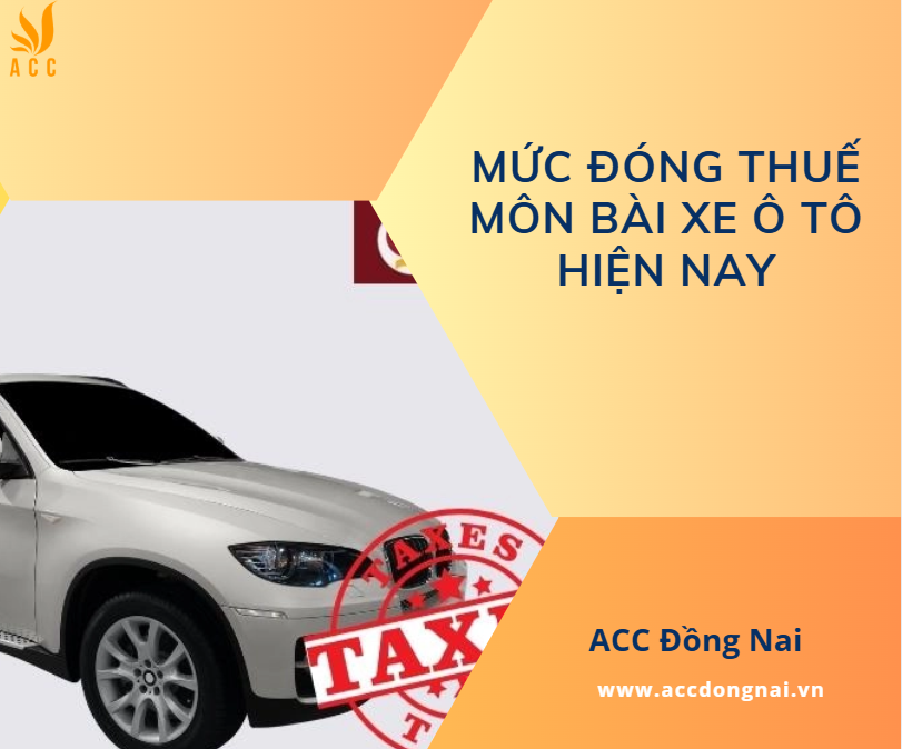 Thuế Môn Bài Xe Ô tô: Những Điều Chủ Xe Cần Biết Chi Tiết