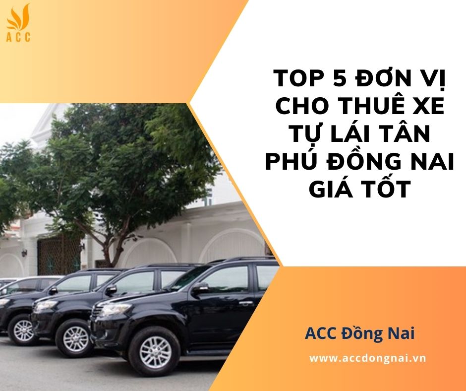 Thuê Xe Ô Tô Rẻ Tại Quận Tân Phú: Cẩm Nang Toàn Diện