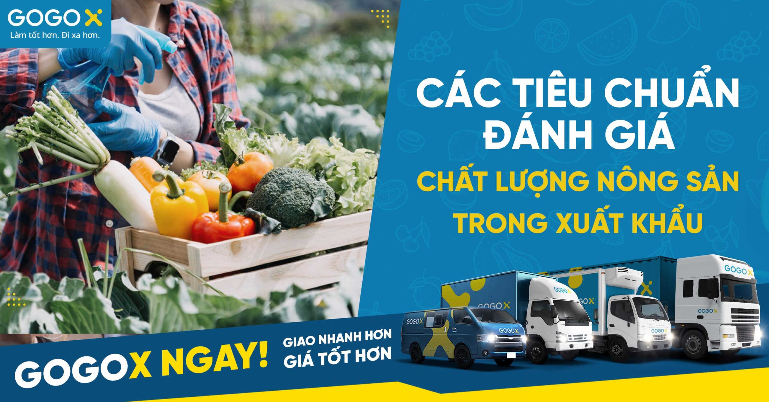 Quy Cách Phẩm Chất Xe Ô Tô: Tiêu Chuẩn Đánh Giá Toàn Diện