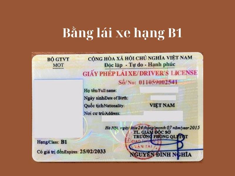 Lái được xe ô tô cần bằng gì: Thông tin chi tiết cho người mới