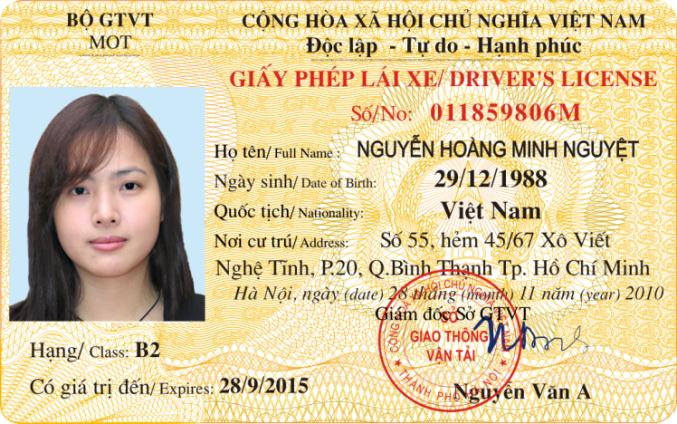 Các Loại Bằng Lái Xe Ô Tô Phổ Biến Nhất Hiện Nay