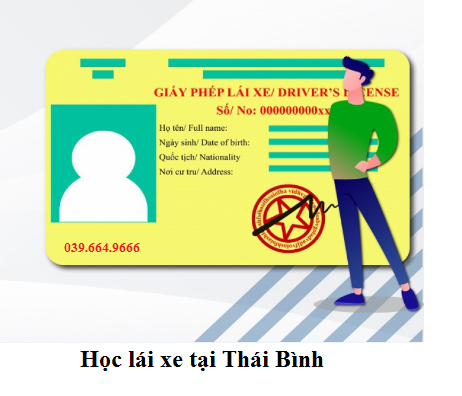 Học Lái Xe Ô Tô B2 Thái Bình: Lộ Trình & Kinh Nghiệm Đậu Cao