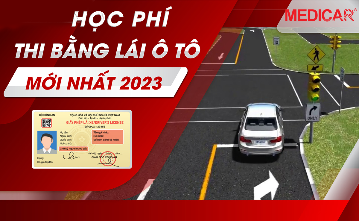 Trường Lái Xe Ô Tô: Lựa Chọn Và Quy Trình Học Bằng Lái