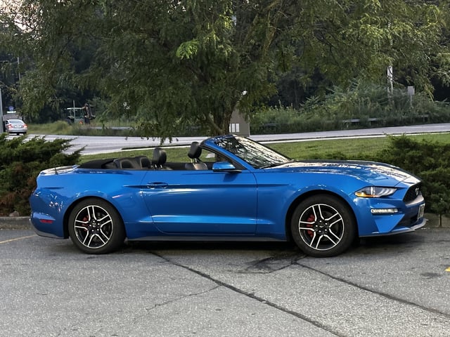 Xe Ô Tô Vừa Mui Trần Vừa Kín: Khám Phá Thế Giới Roadster Mui Cứng