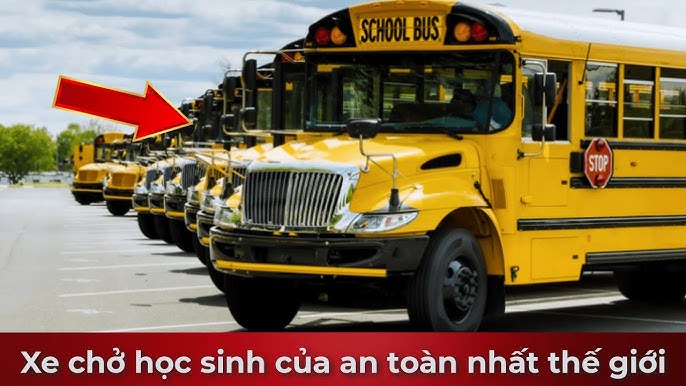 3 Xe Ô Tô Chở 81 Học Sinh: Giải Pháp Tối Ưu và An Toàn