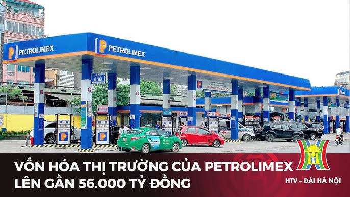 Thị trường xe ô tô TPHCM: Tổng quan và xu hướng nổi bật