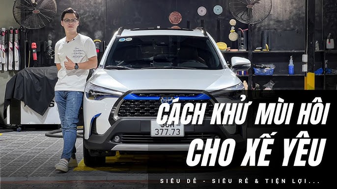 Cách Khử Mùi Hôi Chuột Trong Xe Ô Tô Hiệu Quả Tận Gốc