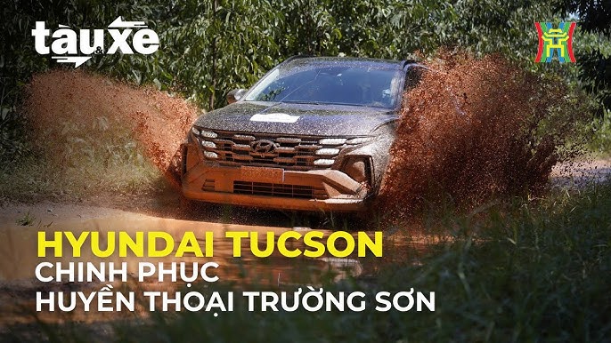 Xe ô tô di chuyển vào Trường Sơn: Kinh nghiệm và những điều cần biết