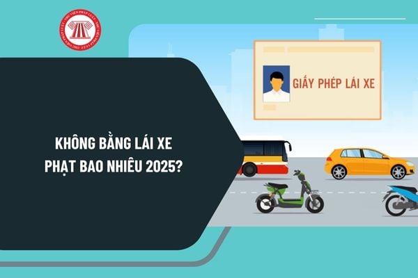 Không có bằng lái xe ô tô phạt bao nhiêu: Chi tiết quy định, mức phạt