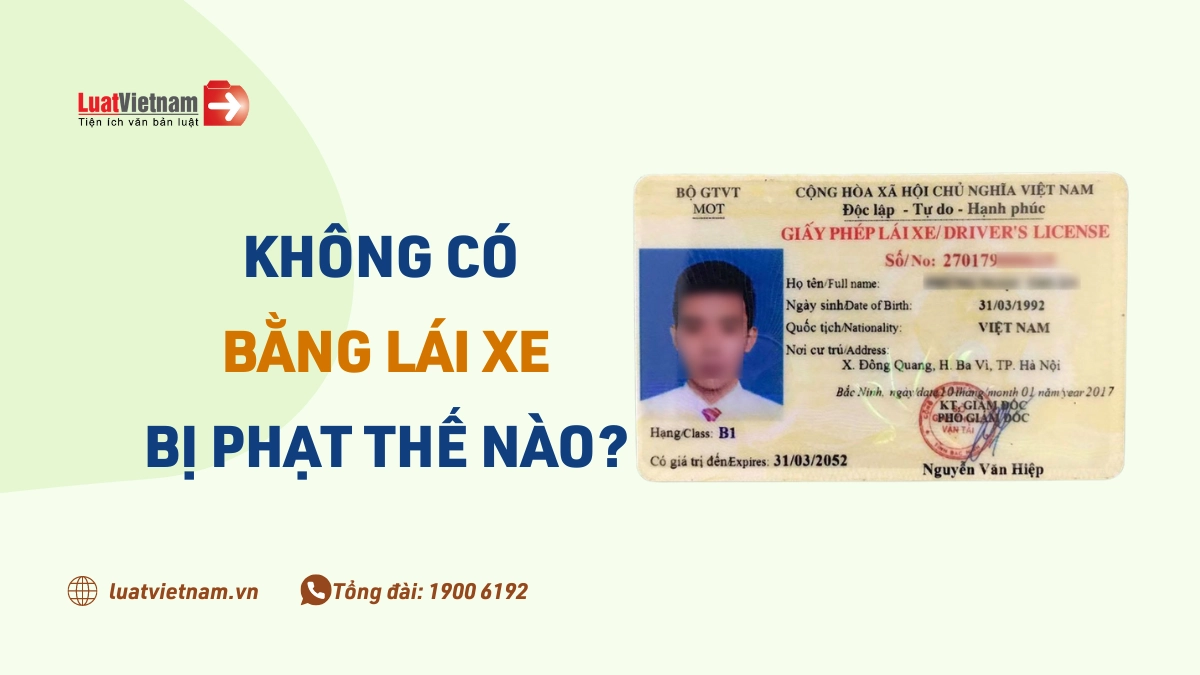 Không có bằng lái xe ô tô phạt bao nhiêu: Chi tiết quy định, mức phạt