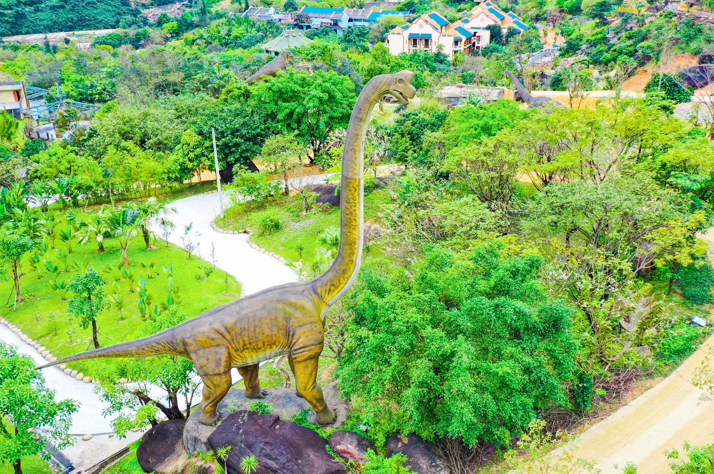 Thuê Xe Ô Tô Đi Núi Thần Tài: Cẩm Nang Từ A-Z Cho Chuyến Đi Hoàn Hảo