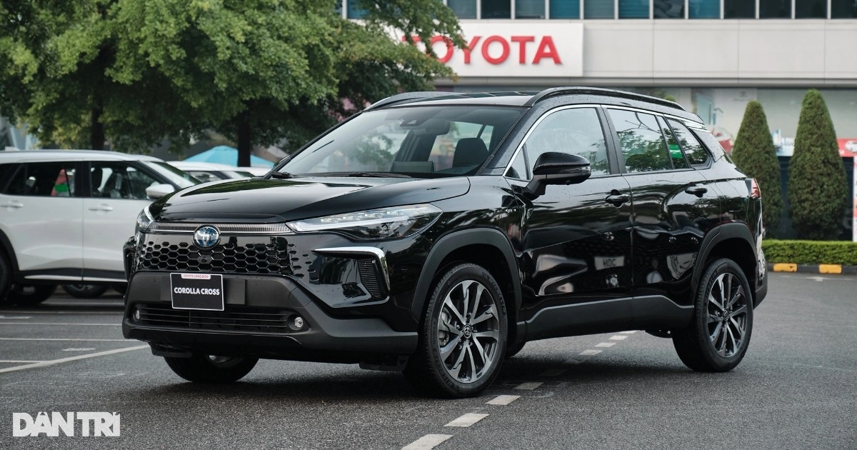 Xe Ô Tô Gầm Cao: Ưu Nhược Điểm Và Kinh Nghiệm Lựa Chọn Xe Ô Tô Gầm Cao: Ưu Nhược Điểm Và Kinh Nghiệm Lựa Chọn
