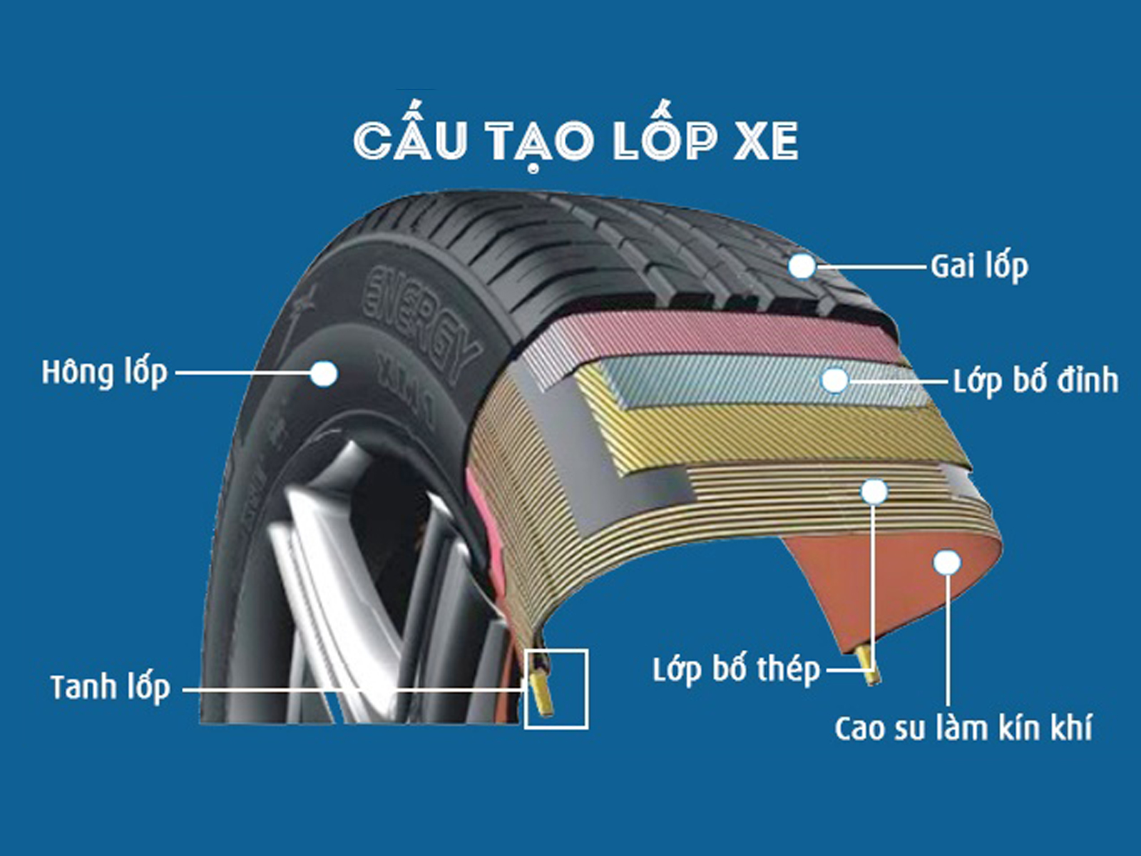 Lớp Vỏ Xe Ô Tô: Cấu Tạo, Chức Năng và Tầm Quan Trọng