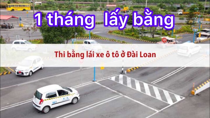 Phân Biệt Các Loại Bằng Lái Xe Ô Tô Phổ Biến Nhất