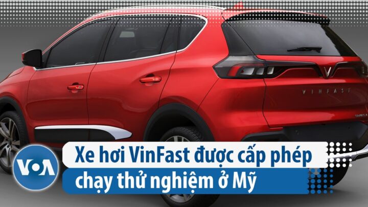 Trải nghiệm chạy thử xe ô tô từ các hãng: Hướng dẫn chi tiết