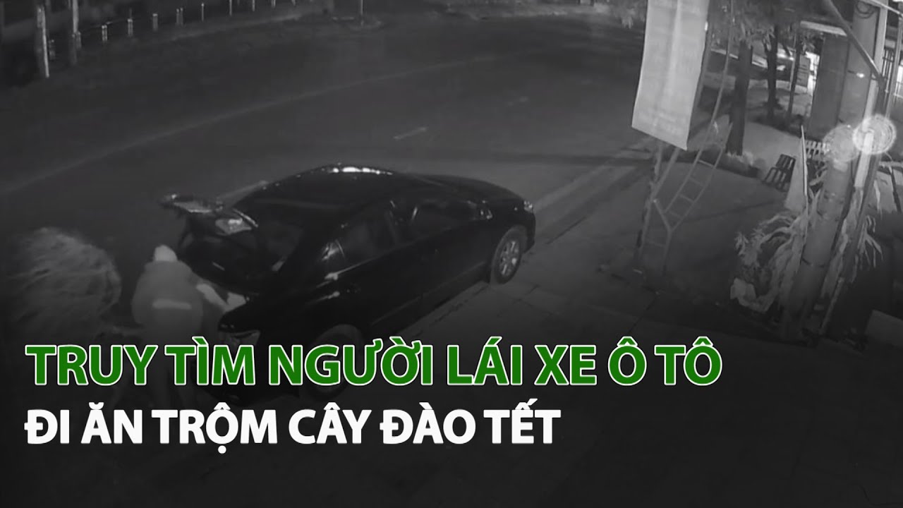 Ăn Cướp Xe Ô Tô Ở Bình Dương: Tình Hình Và Biện Pháp Phòng Tránh Hiệu Quả