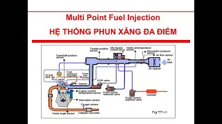 MPI Trong Xe Ô Tô: Giải Mã Công Nghệ Phun Xăng Đa Điểm