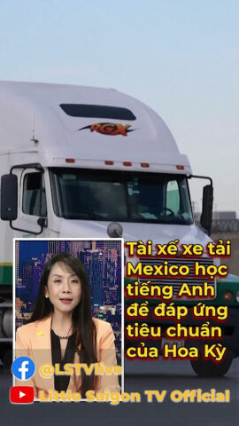 Tiêu chuẩn tiếng ồn xe ô tô là bao nhiêu: Tổng quan và Quy định