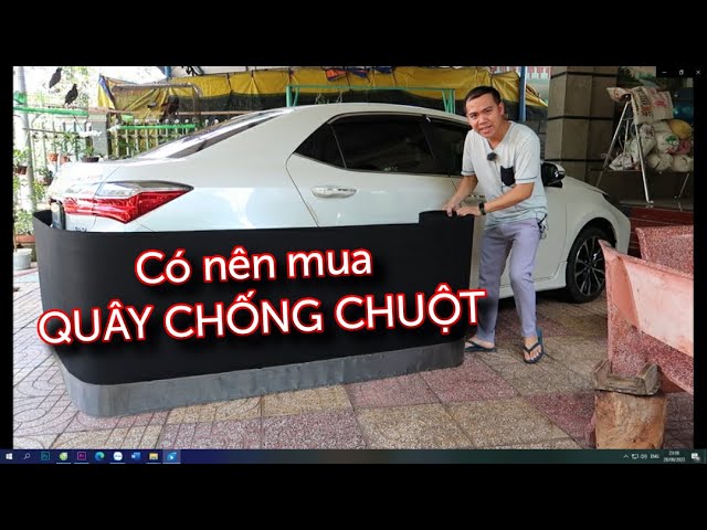 Quây cản xe ô tô: Vai trò, các loại và lưu ý quan trọng