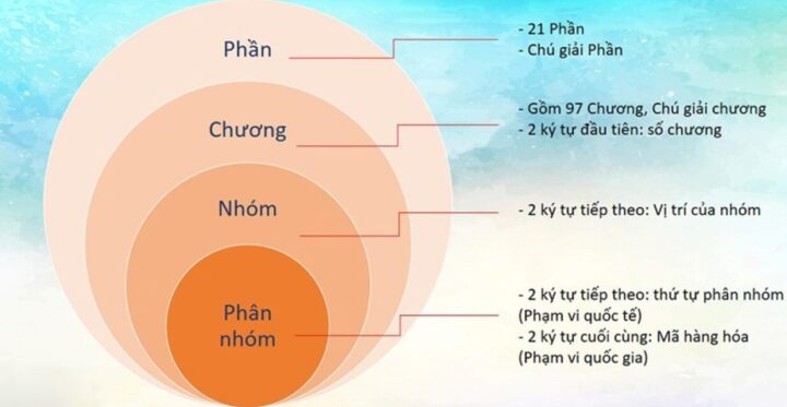 Mã HS Code Vỏ Xe Ô Tô: Hướng Dẫn Chi Tiết Phân Loại