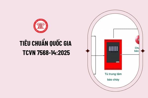 Hành lang pháp lý TCVN về trang bị xe ô tô