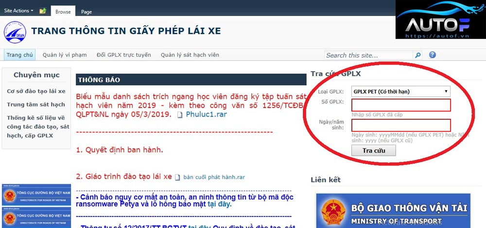 Xem Bằng Lái Xe Ô Tô: Hướng Dẫn Tra Cứu và Sử Dụng Hiệu Quả