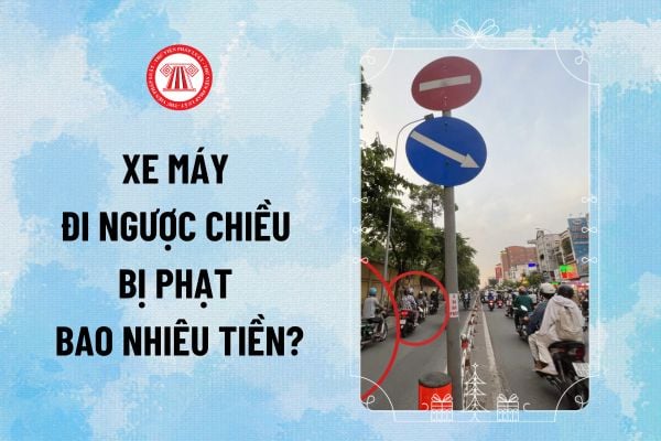 Ngược Chiều Với Ô Tô Thôi Xe Máy 2 Chiều: Quy Định Và Thực Tế Đường Bộ