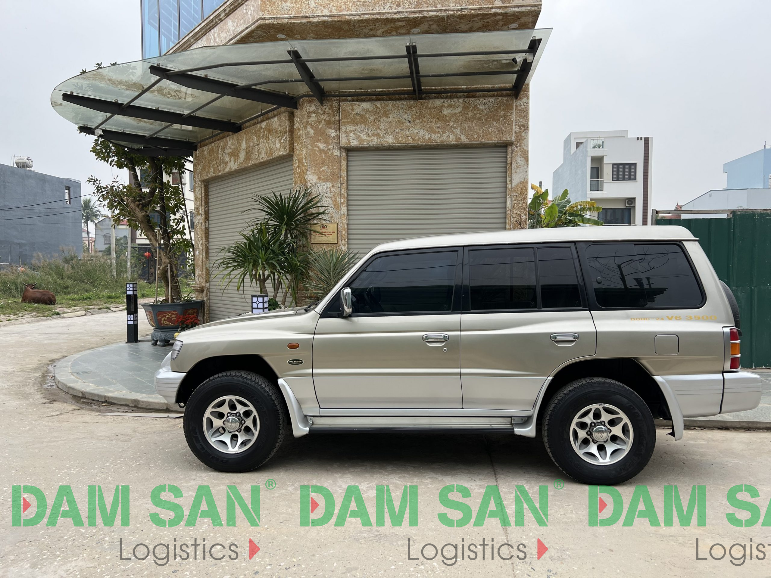 Xe Ô Tô Nhãn Hiệu Damsan: Giải Mã Sự Thật Đằng Sau Tên Gọi