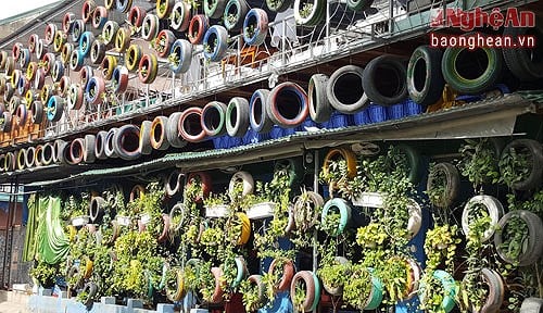 Vỏ xe ô tô cũ làm vườn trồng hoa: Biến hóa độc đáo và bền vững