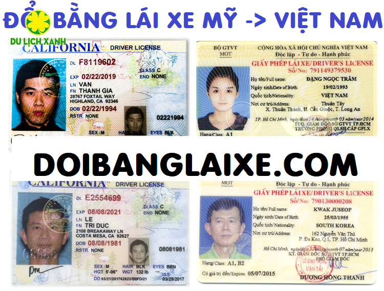 Đổi Bằng Lái Xe Ô Tô Cao Bá Quát: Hướng Dẫn Chi Tiết A-Z