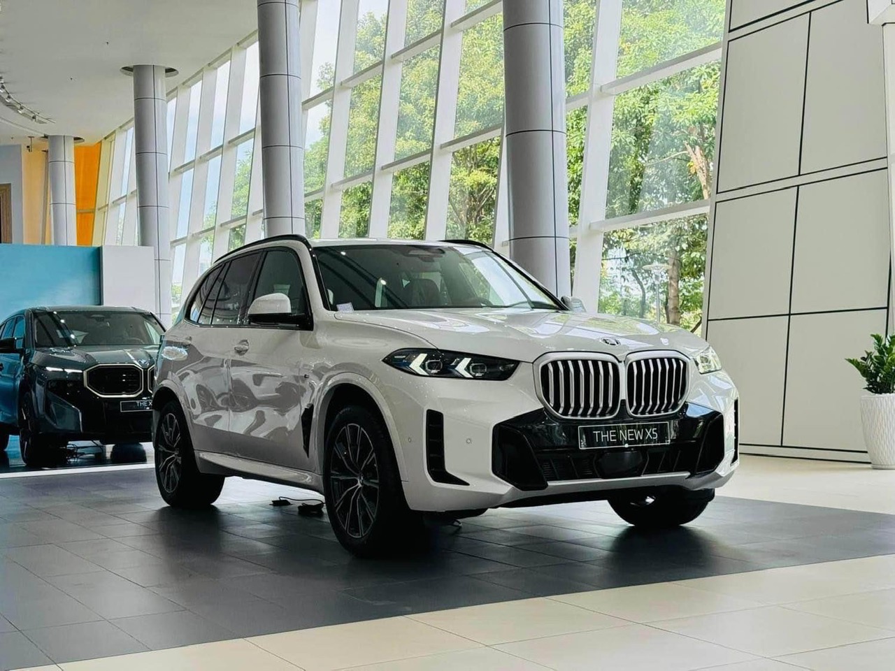 Làm sao biết xe ô tô mấy chỗ: Hướng dẫn chi tiết từ A-Z