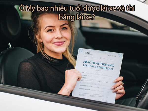 Quy Định Tuổi Cấp Bằng Lái Xe Ô Tô Số Mới Nhất Hiện Hành