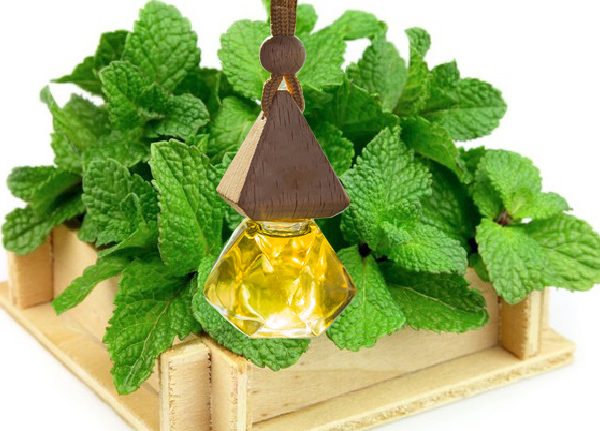 Tinh dầu bạc hà cho xe ô tô: Giải pháp thư giãn và khử mùi hiệu quả