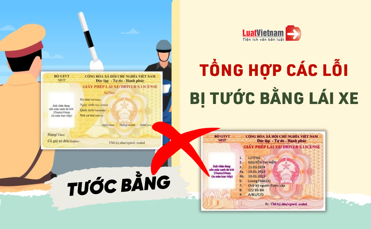 Tước bằng lái xe ô tô trong trường hợp nào theo quy định pháp luật