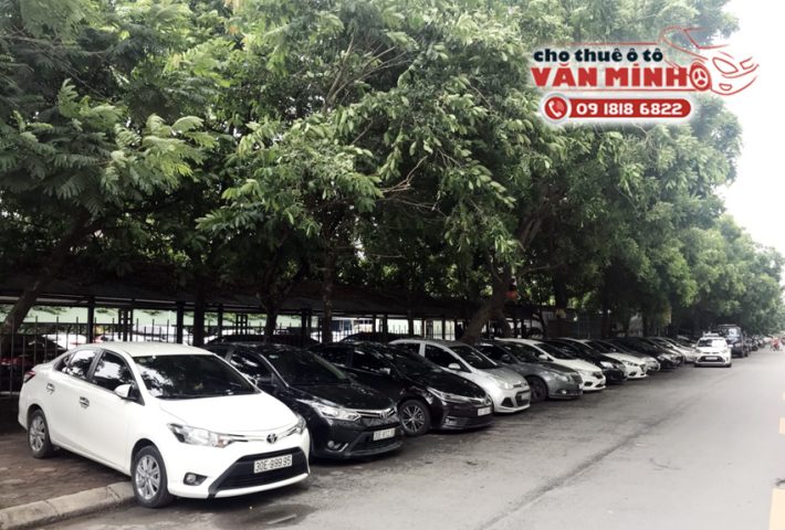 Kinh doanh dịch vụ cho thuê xe ô tô: Hướng dẫn từ A-Z