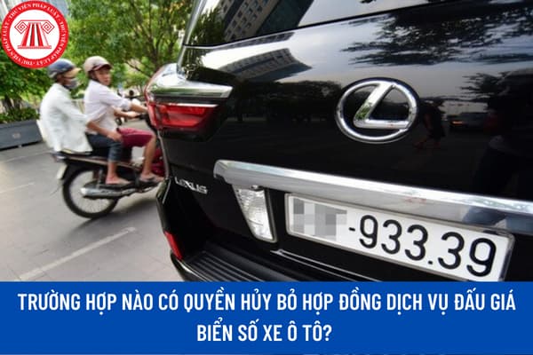 Mẫu Hợp Đồng Dịch Vụ Đăng Ký Xe Ô Tô Chi Tiết - image 3