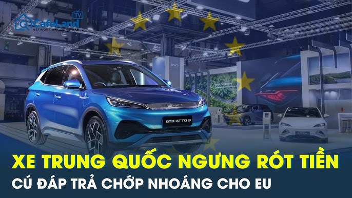Quy Mô Đầu Tư Xe Ô Tô: Xu Hướng & Triển Vọng Phát Triển