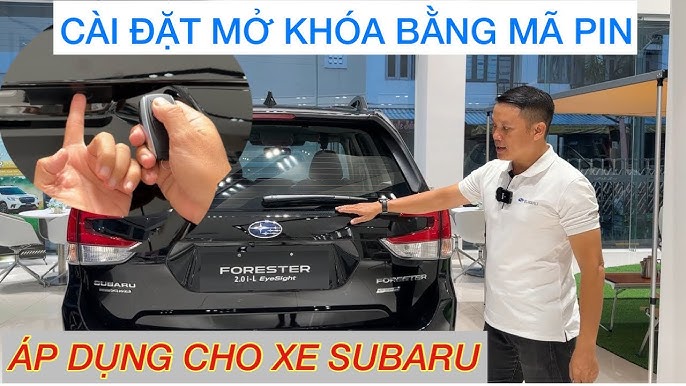 Mã Hải Quan Xe Ô Tô: Toàn Tập Hướng Dẫn Và Quy Định