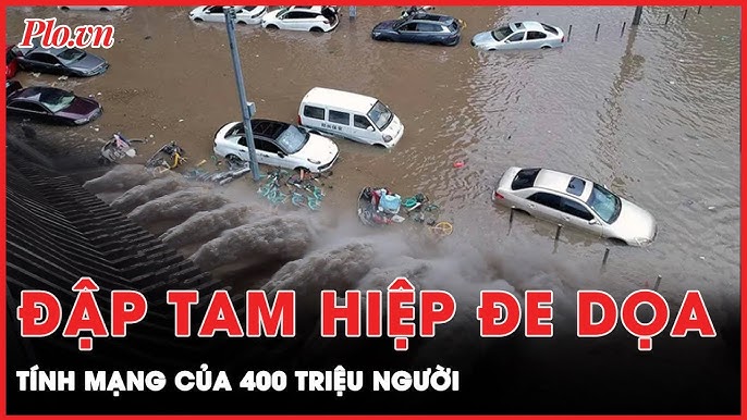 Sợi Bố Vỏ Xe Ô Tô: Cấu Tạo, Vai Trò và Tầm Quan Trọng